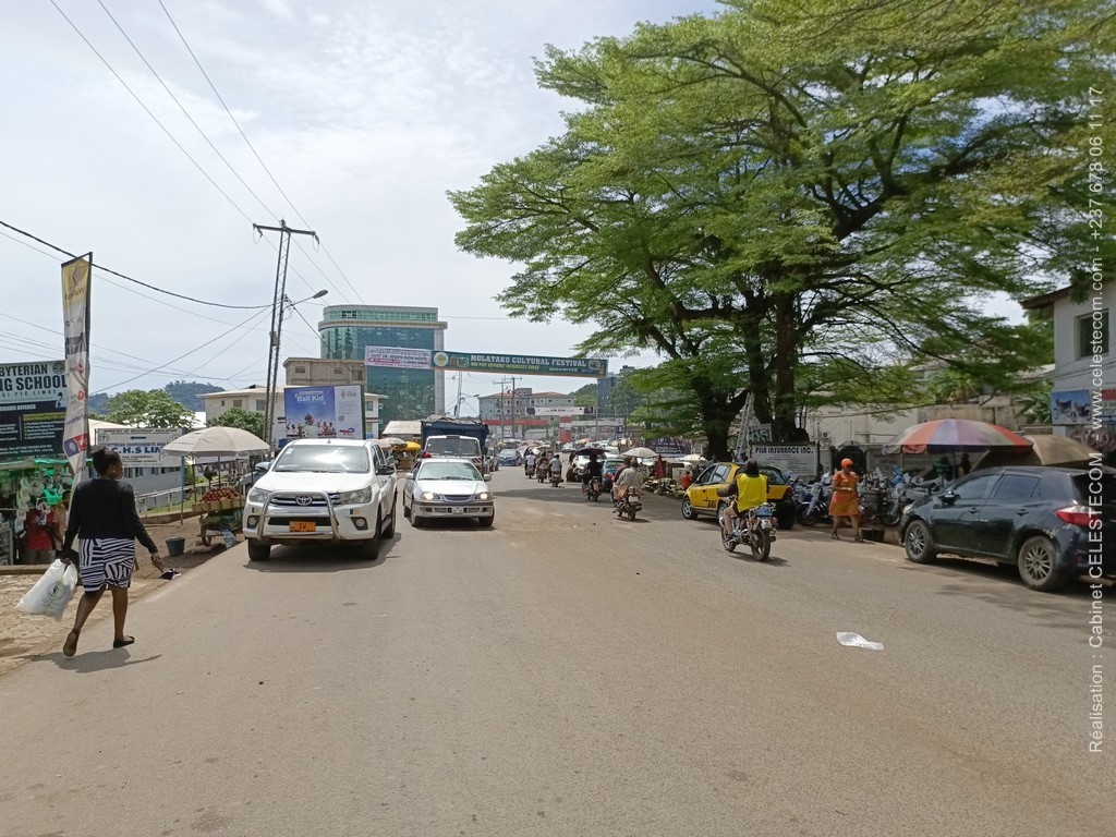 Limbe City Council Communauté Urbaine de Limbé 41.jpg
